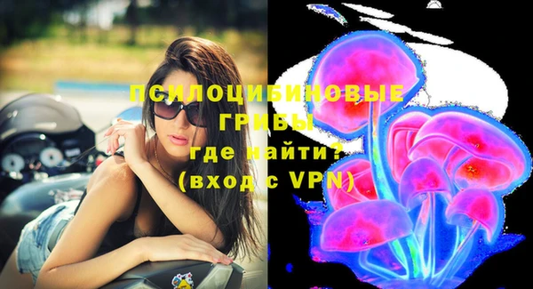 Альфа ПВП Касимов