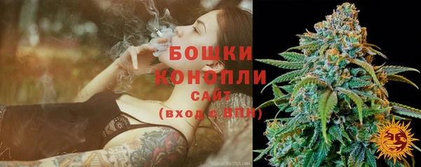 Альфа ПВП Касимов
