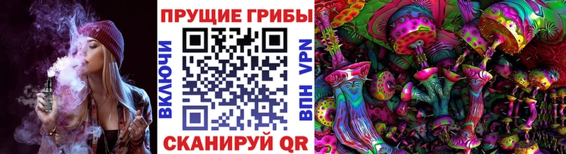 Галлюциногенные грибы Psilocybe  Купить закладки  Лесозаводск 
